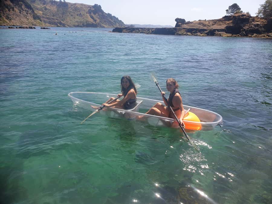 Leigh: Goat Island Clear Kayak Rental - What You Can Spot: Tāmure, Nanua, Maomao, and Rays