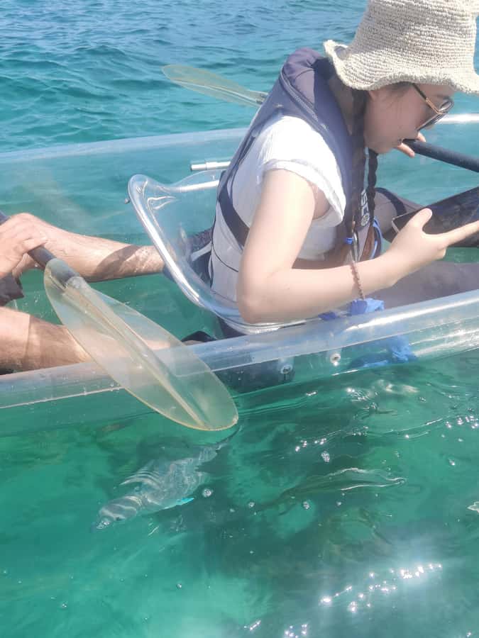 Leigh: Goat Island Clear Kayak Rental - Price and Value: $107 for Two for a 1-Hour Clear-Kayak Ride