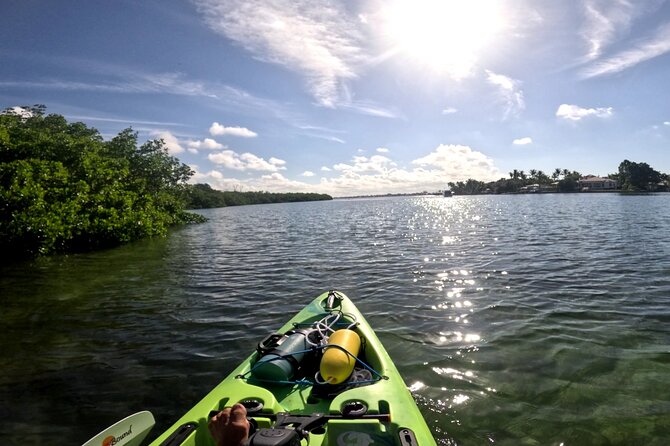 Lido Key Pedal Kayak Tour in Sarasota - Key moments that make this tour worth your time