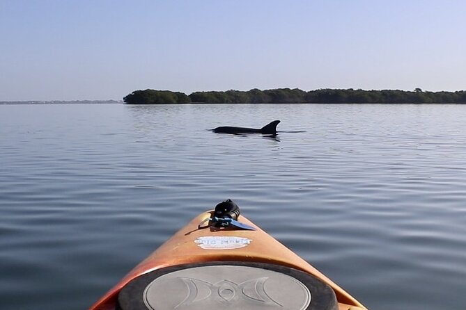 Lido Key Pedal Kayak Tour in Sarasota - Guides Who Actually Help: Sky, Matt, Kelly, Russell, and More