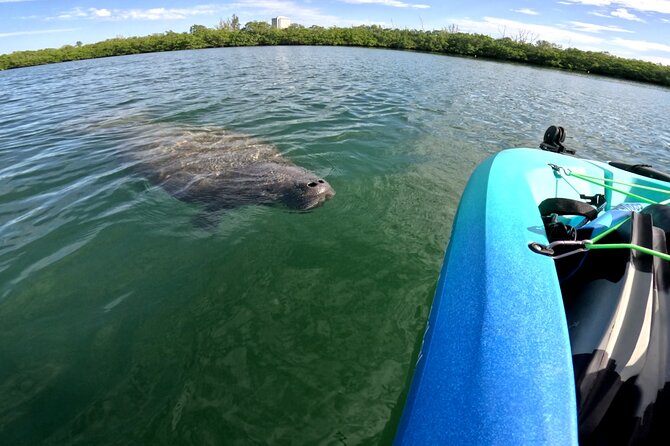 Lido Key Pedal Kayak Tour in Sarasota - Getting Wet, Staying Comfortable, and Handling Different Skill Levels