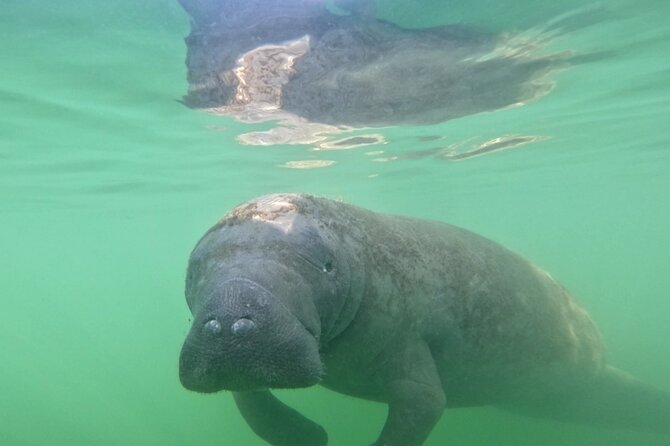 Lido Key Pedal Kayak Tour in Sarasota - Duration, Group Size, and Why Those Details Matter