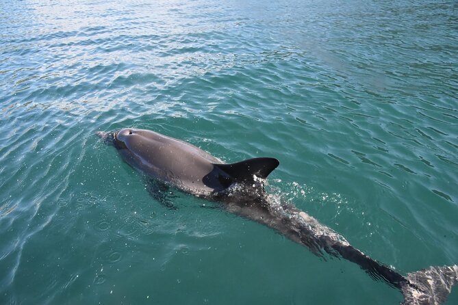 Lim Bay Outrigger Canoe Tour - Small Group, English-Guided, and Built for First-Timers