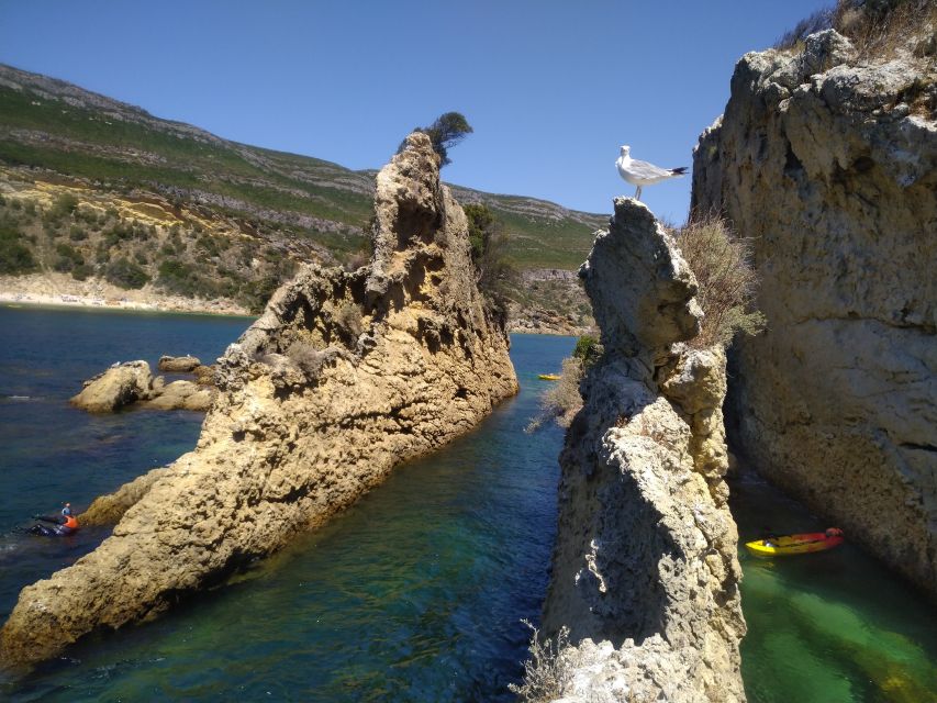Lisbon: Arrábida Kayak and Coasteering Adventure Tour - The end-of-day finish: homemade wine, grape juice, and chorizo