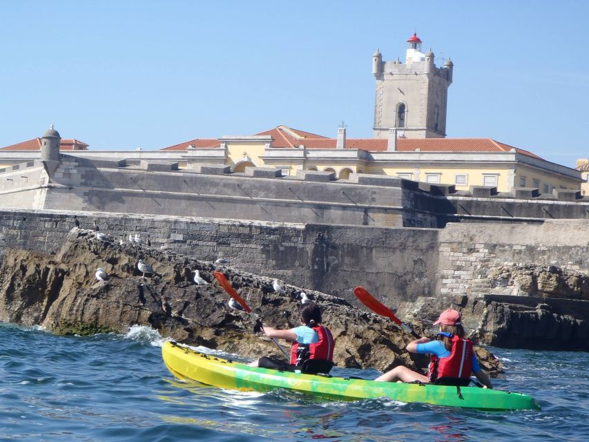 Lisbon: Coast Guided Kayak Tour - Key reasons this kayak tour is worth your time