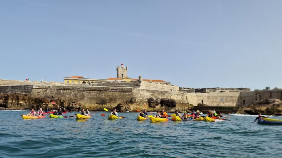 Lisbon: Coast Guided Kayak Tour - Lisbon Coast by Kayak from Oeiras Harbor: the shoreline view you can’t get from land