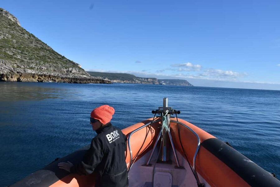 Lisbon: Sesimbra Kayak Discovery Experience - Arrábida Natural Park and the Maritime Reserve: cliffs, caves, and the best photo angles
