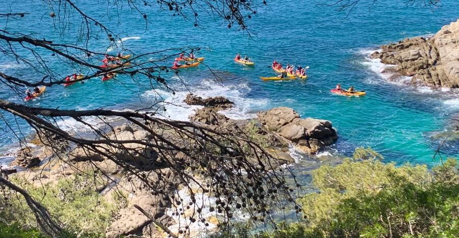 Lloret de Mar: 3-Hour Kayak and Snorkel Tour on Costa Brava - The Snorkel Stop: Clean Water, Real Marine Life, and One Caution
