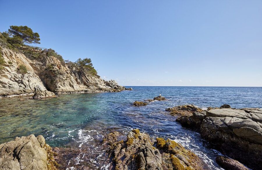Lloret de Mar: Costa Brava Kayak Tour and Swimming - Before you launch: safety briefing that actually helps