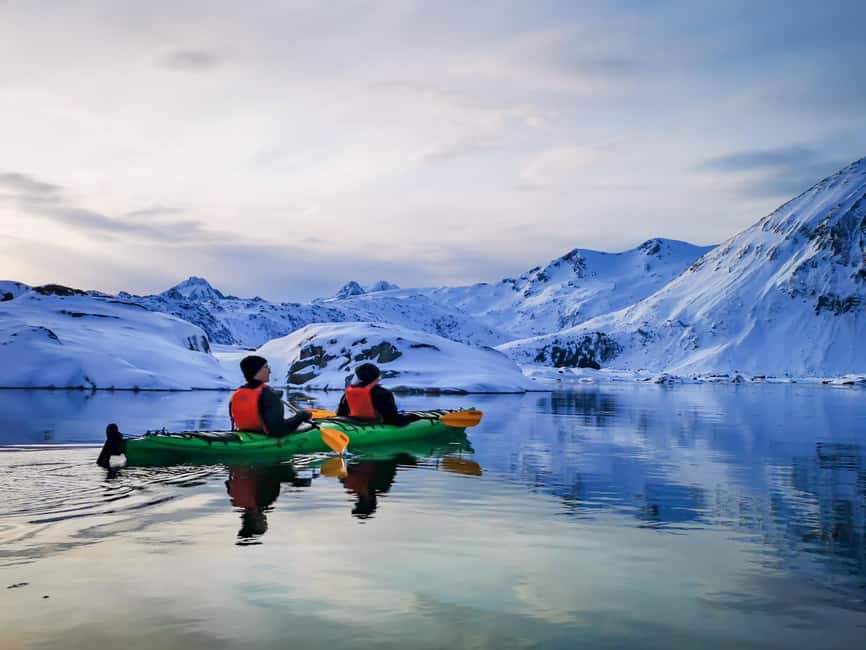 Lofoten: Half-Day Winter Kayak Adventure - Is this the right winter kayak tour for you?