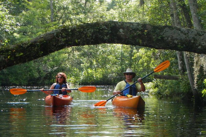 Lofton Creek Kayaking Trip with Professional Guide - Key highlights at a glance
