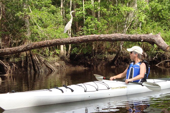Lofton Creek Kayaking Trip with Professional Guide - Group Size (Up to 8) Means the Guide Can Actually Help