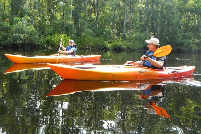Lofton Creek Kayaking Trip with Professional Guide - Who This Trip Fits Best (and Who Might Want Something Else)