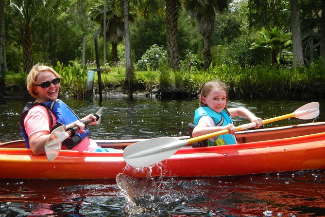 Lofton Creek Kayaking Trip with Professional Guide - Value and Logistics: Why Gear Rental + a Pro Guide Is Worth It