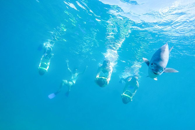 Los Cabos Power snorkel Adventure, Kayaking and Stand-Up Paddle - Key things to know before you go