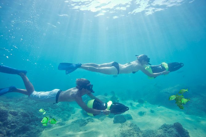 Los Cabos Power snorkel Adventure, Kayaking and Stand-Up Paddle - El Arco de Cabo San Lucas from the sea: photos, timing, and what to expect