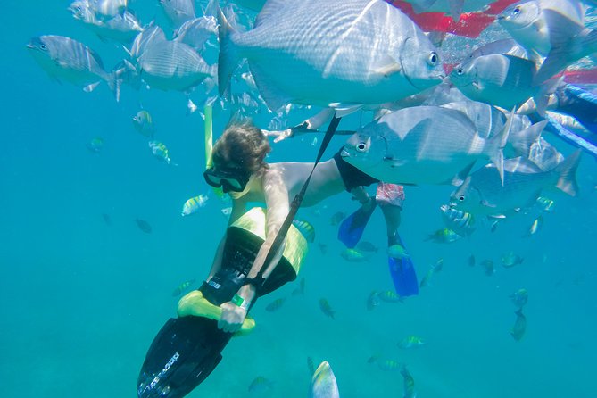 Los Cabos Power snorkel Adventure, Kayaking and Stand-Up Paddle - Who should book this, and who should skip it
