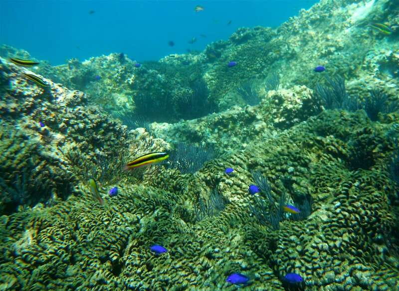 Los Cabos: The Arch and Lover's Beach Kayaking + Snorkeling - Why Kayaking to The Arch Is the Real Magic
