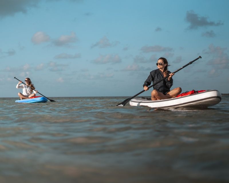 Los Cristianos : 1 Hour of Paddle surf Rental - Should You Book This Los Cristianos Paddle Surf Rental?