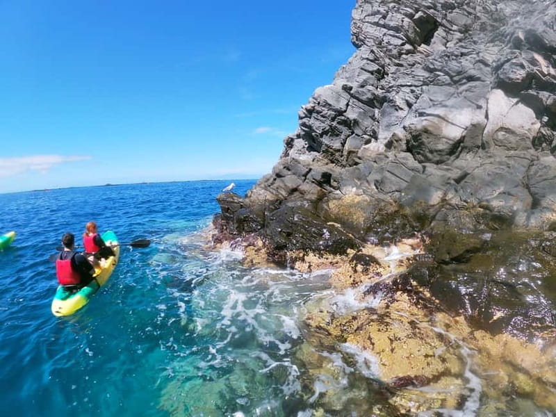 Los Cristianos: Kayak and Snorkel with Turtles and Photos - Weather: how wind and sea conditions change what you get