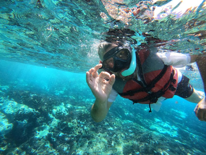 Los Cristianos: Kayaking and Snorkeling with Marine Wildlife - Safety, Gear, and the Comfort Details That Make or Break It