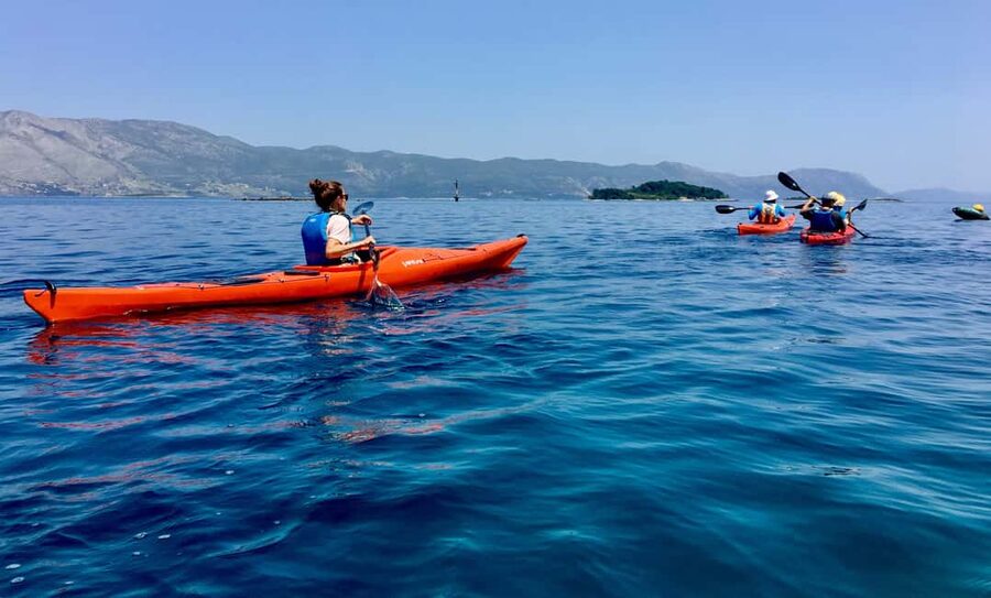 Lumbarda: Half-Day Kayaking and History with Wine delight - Price and Value: What $81 Gets You (and why it feels fair)