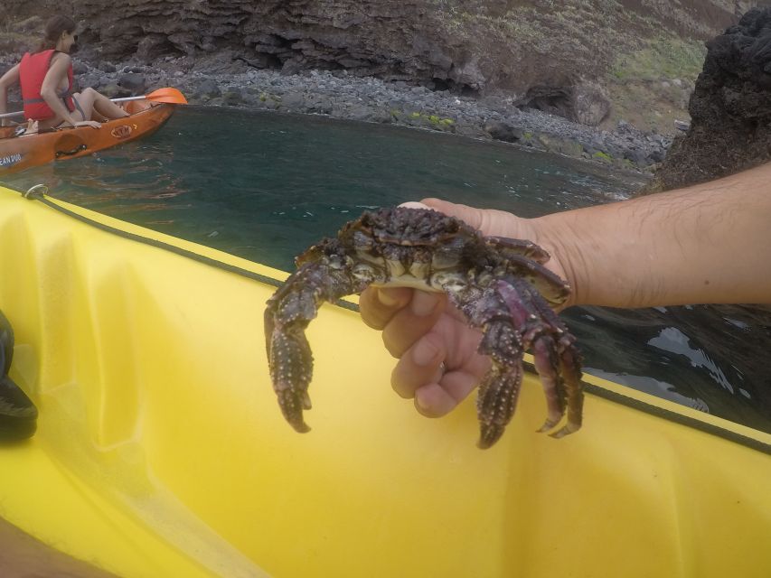 Madeira: Garajau Nature Reserve Kayak and Snorkel Tour - What to pack for a 3-hour Madeira water day