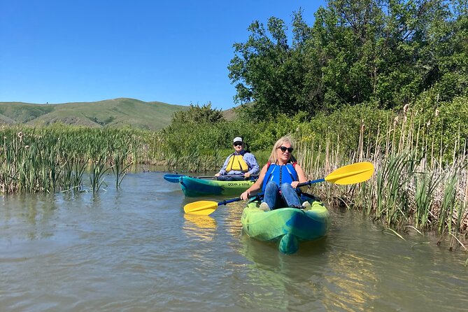 Madison River Guided Kayak Tour - Sit-on-top kayaks and a calm current: why it feels beginner friendly
