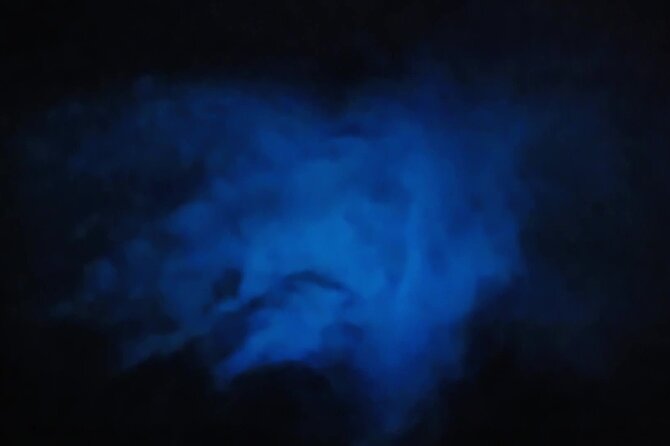 Magic After Dark Bioluminescence Kayak Tour Orlando - The 90-Minute Flow: What Happens Once You Arrive