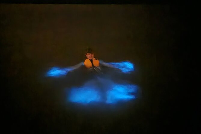 Magic After Dark Bioluminescence Kayak Tour Orlando - Wildlife Moments: When the Lagoon Gets Personal
