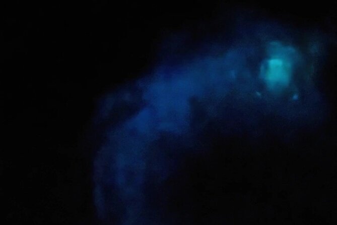 Magic After Dark Bioluminescence Kayak Tour Orlando - Price and Value: Is $85 Worth It?