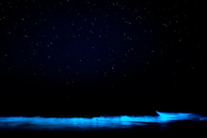 Magic After Dark Bioluminescence Kayak Tour Orlando - Who This Tour Suits Best (And Who Might Hesitate)