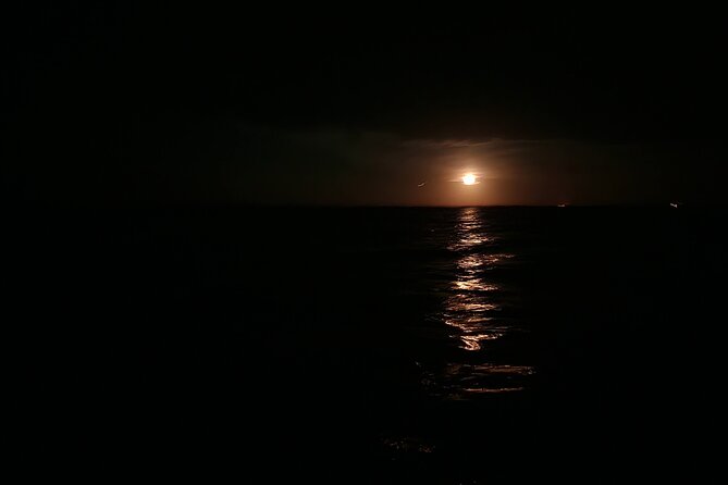 Magic After Dark Bioluminescence Kayak Tour Orlando - The People Part: Guides Make the Night Work