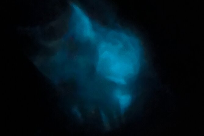 Magic After Dark Bioluminescence Kayak Tour Orlando - The Glow Lesson Nobody Warns You About (But You’ll Want To Know)