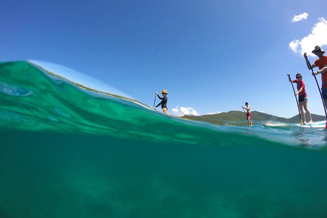 Magic Mangrove Paddle in Beef Island Lagoon - Getting Started at Road Town: Meet-Up, Gear, and a Fast Lesson