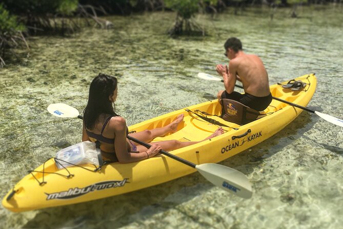 Magic Mangrove Paddle in Beef Island Lagoon - Who This Mangrove Paddle Is Perfect For (and Who Might Prefer Another Option)