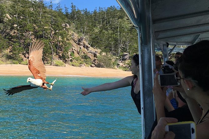 Magnetic Island Discovery Tour with Snorkeling & Paddle Boarding - Fringing reef time, secluded bays, and the wildlife factor