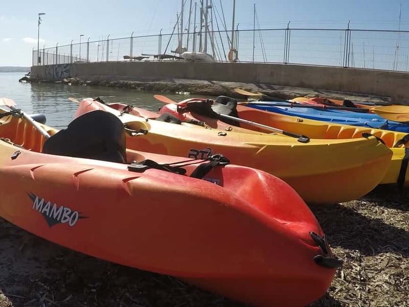 Mallorca: Kayak Rental - Optional Extensions: Portixol and Palma Cathedral Views