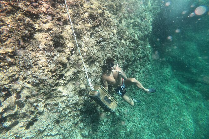 Mallorca: Kayaking, Sea Cave, Cliff Jumping & Snorkel Tour - Why this sea-cave kayaking adventure feels like a full Mallorca day