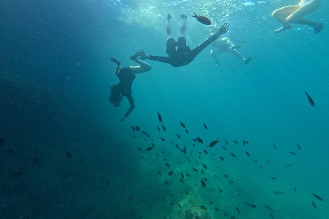 Mallorca: Kayaking, Sea Cave, Cliff Jumping & Snorkel Tour - What’s included: wetsuits, safety gear, and a camera plan