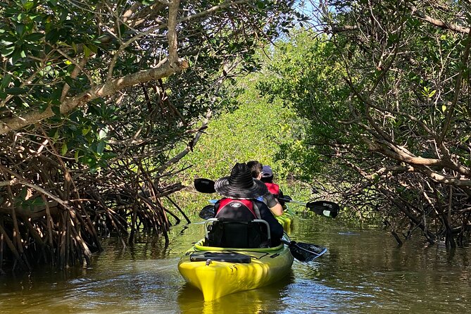 Manatee and Dolphin Kayak Tour - Key Highlights Worth Marking on Your Map