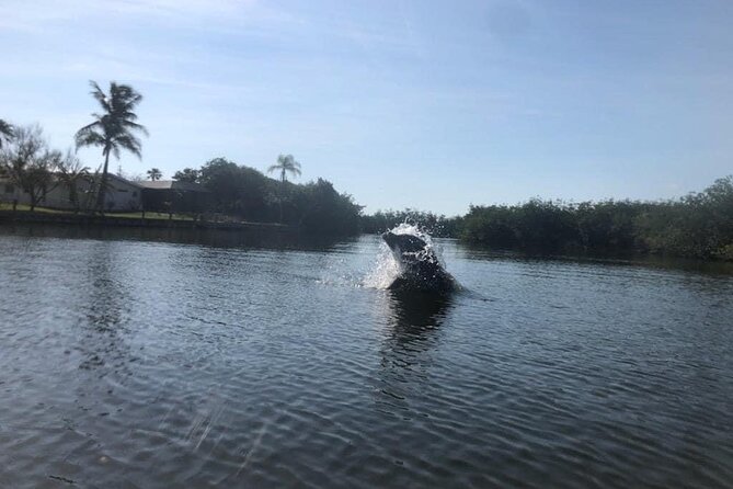 Manatee and Dolphin Kayak Tour - Why Banana River Lagoon Kayaking in Cocoa Beach Feels Like Florida at Its Best