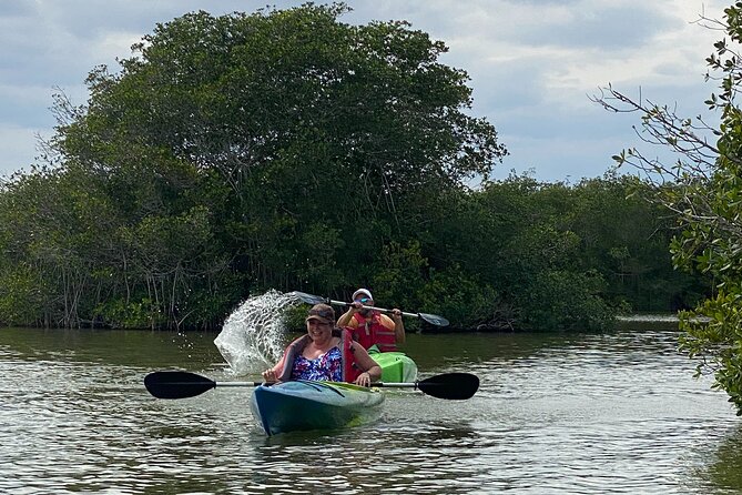 Manatee and Dolphin Kayak Tour - Wildlife Odds: Dolphins and Manatees Are the Headliners, But Not the Only Show