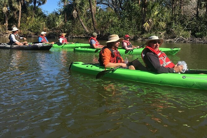 Manatee and Dolphin Kayaking Encounter - Wildlife Highlights You Can Actually See Up Close
