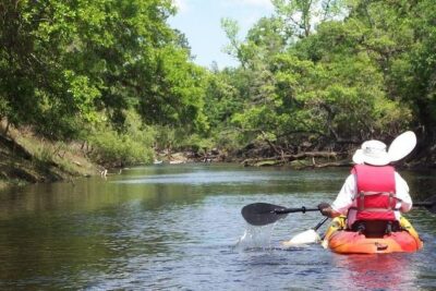 Manatee and Dolphin Kayaking Encounter - The 2-Hour Flow: Launch, Wildlife Search, and Returning the Same Way