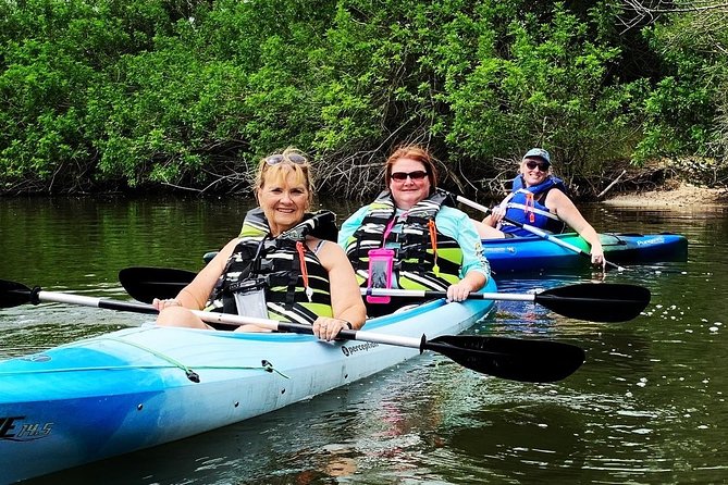 Manatee and Dolphin Kayaking Encounter - Guides Who Make the Water Feel Safer and the Animals Easier to Spot