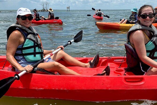 Manatee and Dolphin Kayaking Encounter - Timing Matters: Boat Traffic, Weather, and Picking the Calm Window