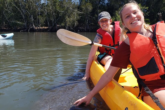 Manatee and Dolphin Kayaking | Wildlife Refuge (Titusville) - Key highlights to watch for