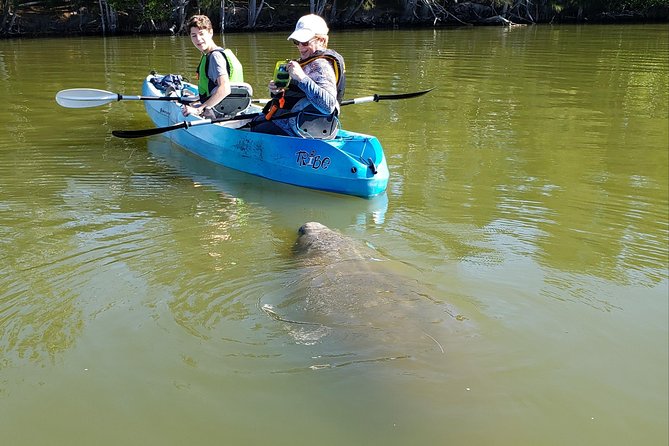 Manatee and Dolphin Kayaking | Wildlife Refuge (Titusville) - Haulover Canal launch: where the trip starts (and why it matters)
