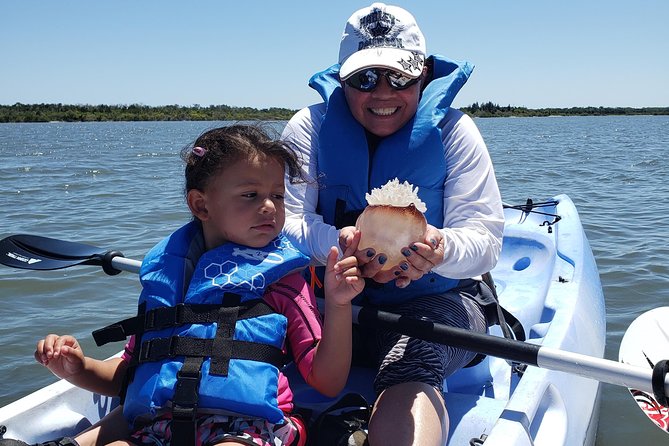 Manatee and Dolphin Kayaking | Wildlife Refuge (Titusville) - Price and value: is $60 for a 90-minute wildlife kayak worth it?